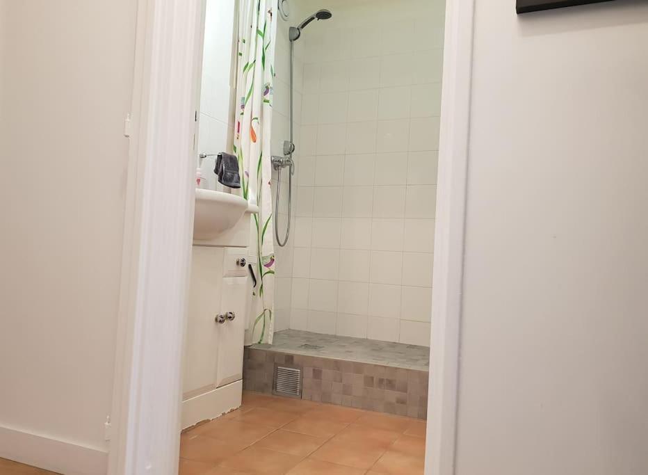 Alesia - Plantes Appartement