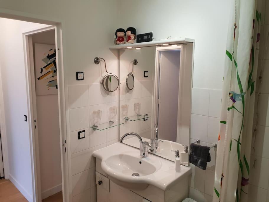 Alesia - Plantes Appartement